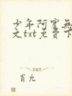少年阿宾无删全文txt免费下载