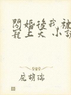 闪婚后我被大佬宠上天 小说