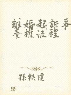 离婚起诉争夺抚养权流程