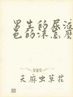 男生的尿液有白色的沫怎么回事