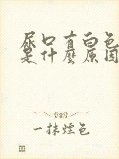 尿口有白色颗粒是什么原因