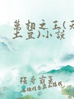 万相之王(天蚕土豆)小说