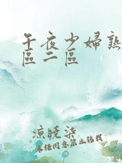 午夜少妇熟女一区二区