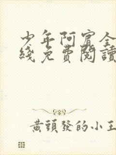 少年阿宾全文在线免费阅读