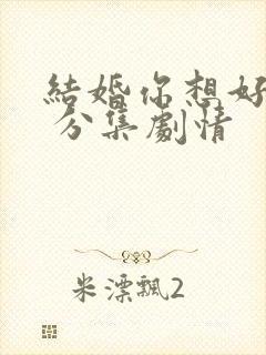 结婚你想好了么 分集剧情