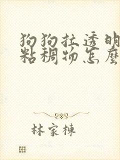 狗狗拉透明果冻粘稠物怎么办