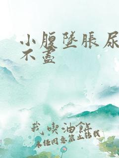 小腹坠胀尿频尿不尽