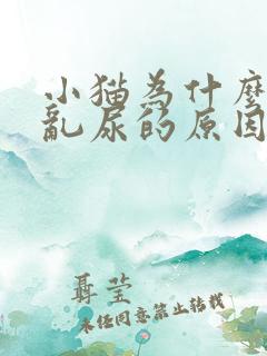 小猫为什么乱拉乱尿的原因呢