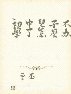 初中儿子不想上学了怎么办