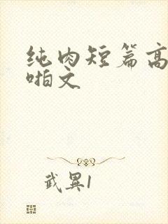 纯肉短篇高h啪啪文