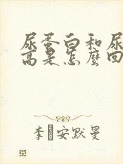 尿蛋白和尿隐血高是怎么回事