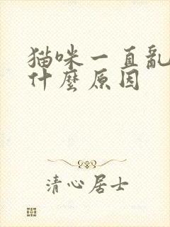 猫咪一直乱尿是什么原因