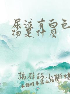 尿液有白色沉淀物是什么