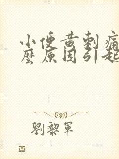 小便黄刺痛是什么原因引起的