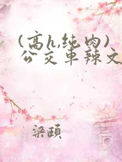 (高h,纯肉)公交车辣文