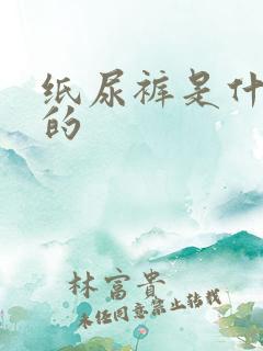 纸尿裤是什么样的