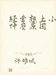 经常想上小便是什么原因