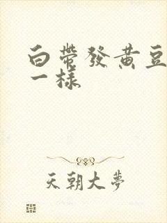 白带发黄豆腐渣一样