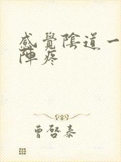 感觉阴道一阵一阵疼