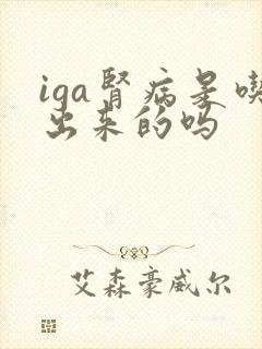 iga肾病是吃出来的吗