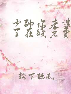 少帅你老婆又跑了在线免费阅读