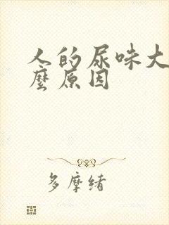 人的尿味大是什么原因