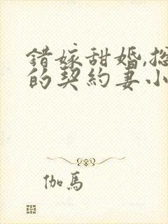 错嫁甜婚,总裁的契约妻小说