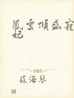 凤云倾盛宠九皇妃