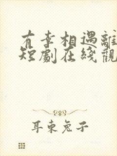 有幸相遇离婚时短剧在线观看