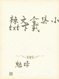 辣文合集小说网txt下载