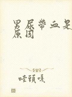 男尿带血是什么原因