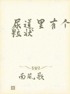 尿道里有个小颗粒状