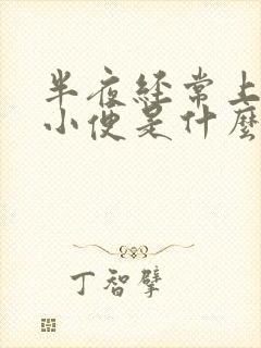 半夜经常上厕所小便是什么原因