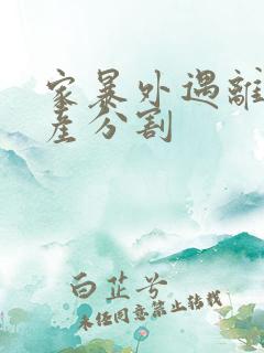 家暴外遇离婚财产分割