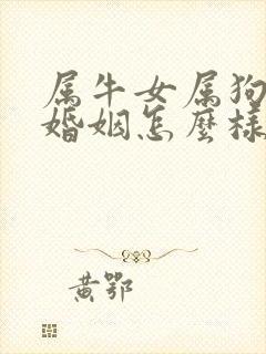 属牛女属狗男的婚姻怎么样