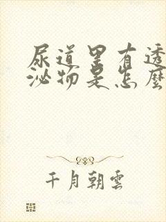 尿道里有透明分泌物是怎么回事