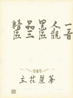 精品黑人一区二区三区观看时间