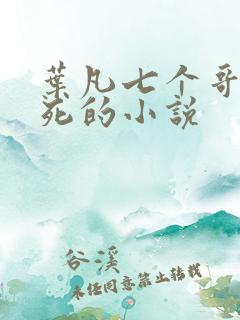 叶凡七个哥哥战死的小说