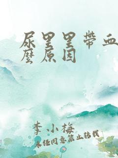 尿里里带血是什么原因