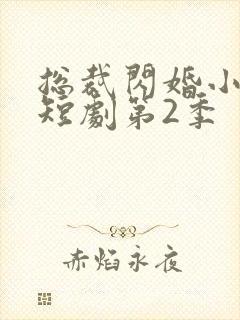 总裁闪婚小娇妻短剧第2季