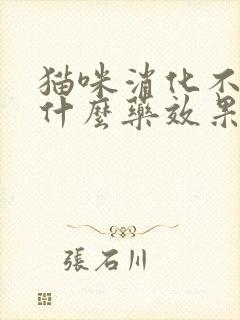 猫咪消化不好吃什么药效果最好