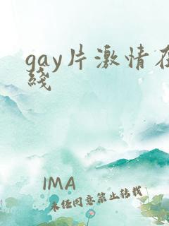 gay片激情在线