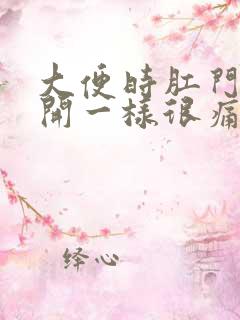 大便时肛门跟裂开一样很痛流血