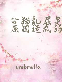 公猫乱尿是什么原因造成的