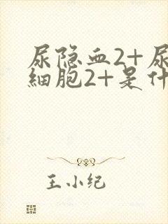 尿隐血2+尿红细胞2+是什么意思