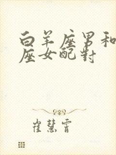 白羊座男和射手座女配对