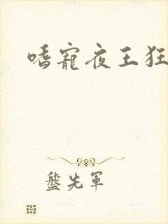嗜宠夜王狂妃
