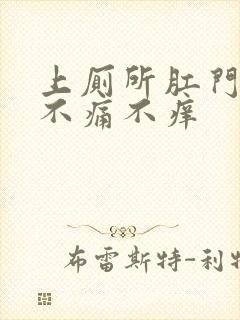 上厕所肛门出血不痛不痒