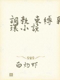 调教 束缚 乳环小说