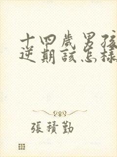 十四岁男孩子叛逆期该怎样沟通